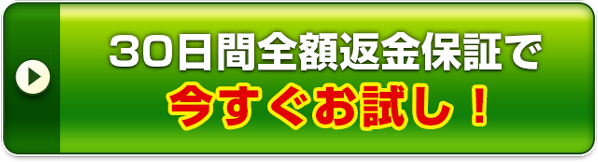 30日間全額返金保証で今すぐお試し