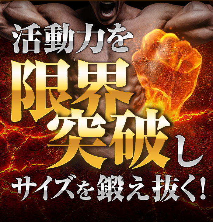 活動力を限界突破しサイズを鍛え抜く