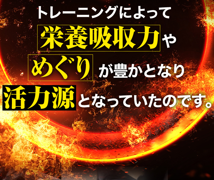 トレーニングによって栄養吸収力やめぐりが豊かとなり活力源となっていたのです